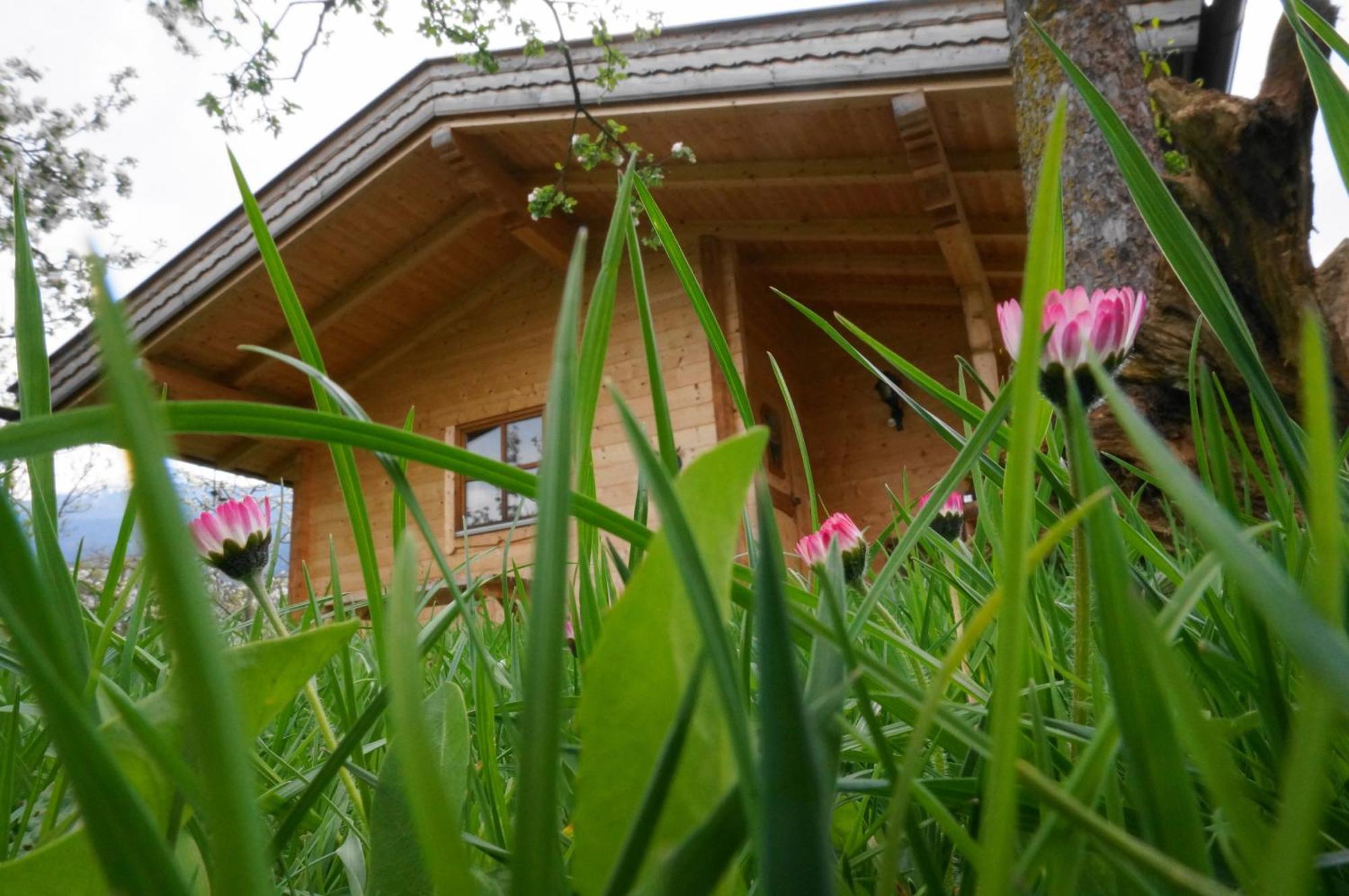 Ferienhaus Mandlhof Weer Exterior foto